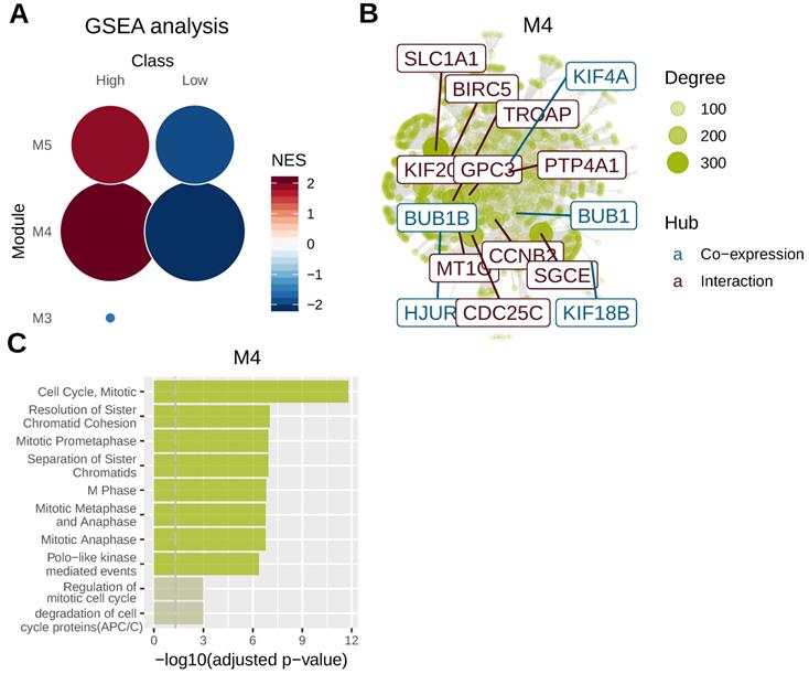 Aberrant AFP expression characterizes a subset of hepatocellular ...