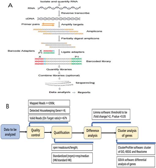 Gene Expression Chart