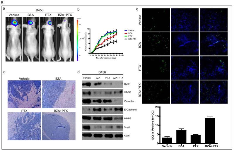 J Cancer Image