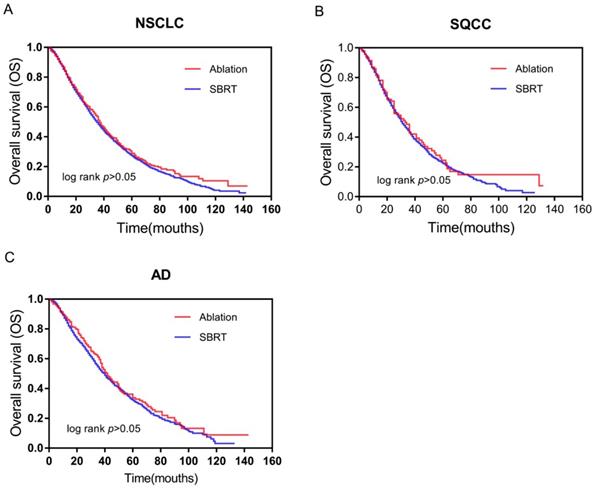 J Cancer Image