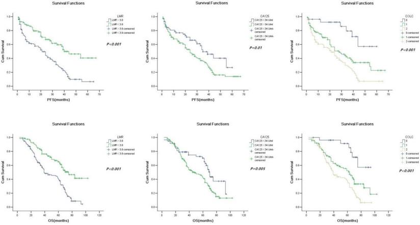 Combined Preoperative Lmr And Ca125 For Prognostic Assessment Of Ovarian Cancer