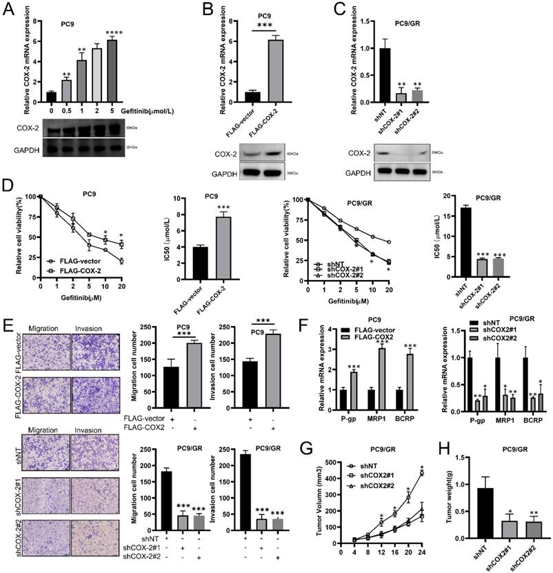 J Cancer Image