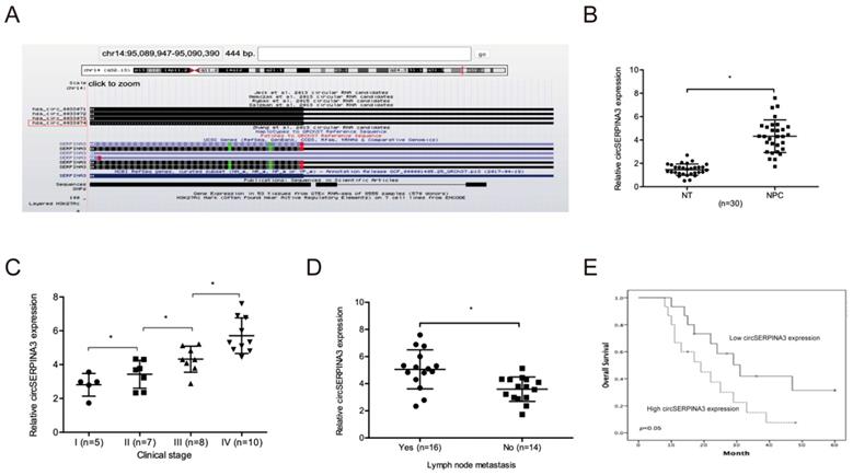 J Cancer Image