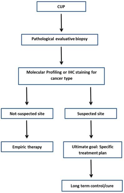 neuroendocrine cancer unknown primary cel mai bun medicament antihelmintic pentru oameni