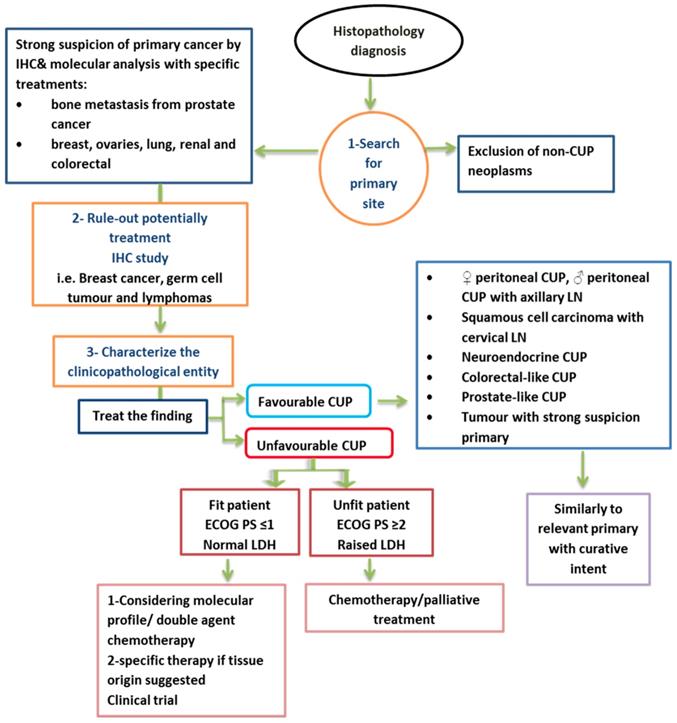 neuroendocrine cancer unknown primary băuturi de detoxifiere pentru colon se curăță