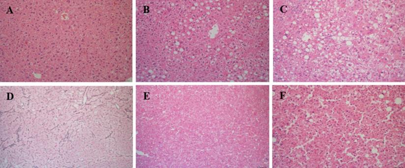 J Cancer Image