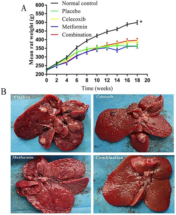 J Cancer Image