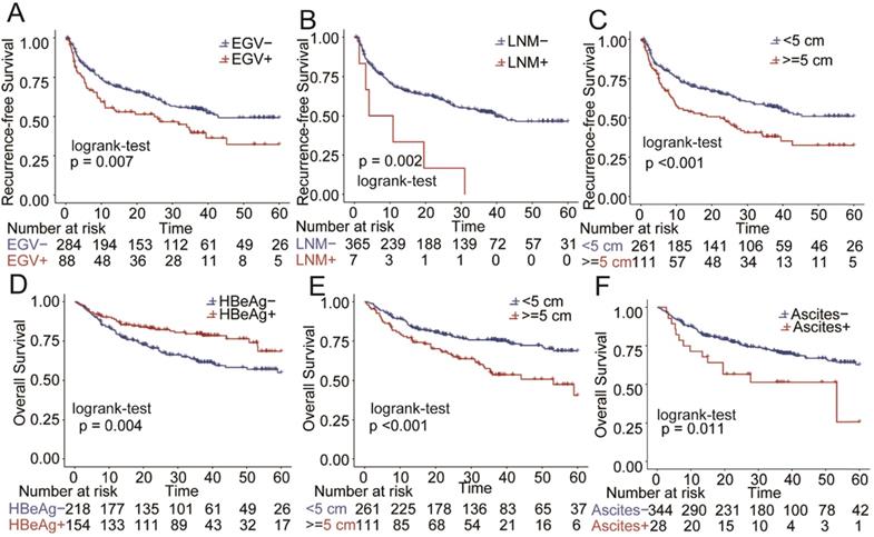 J Cancer Image