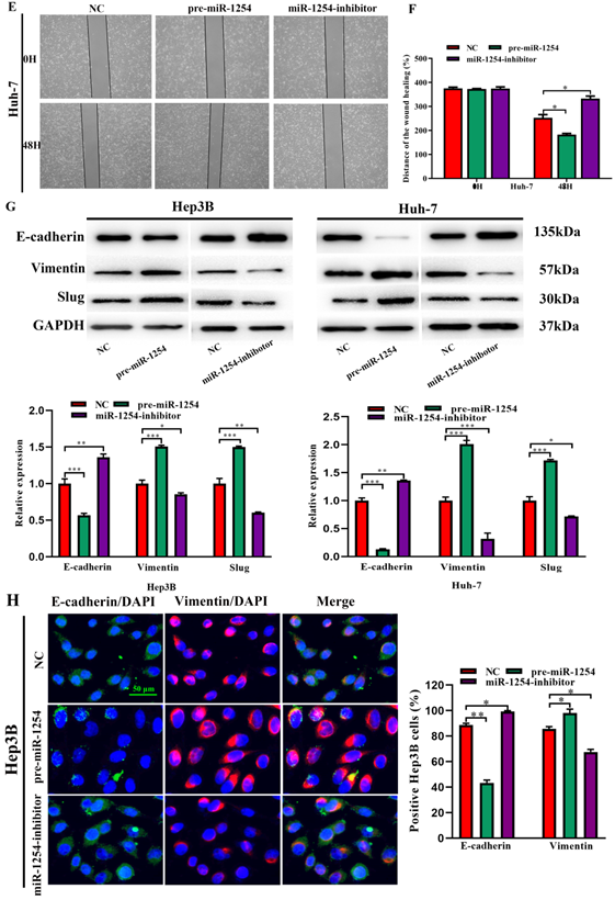 J Cancer Image