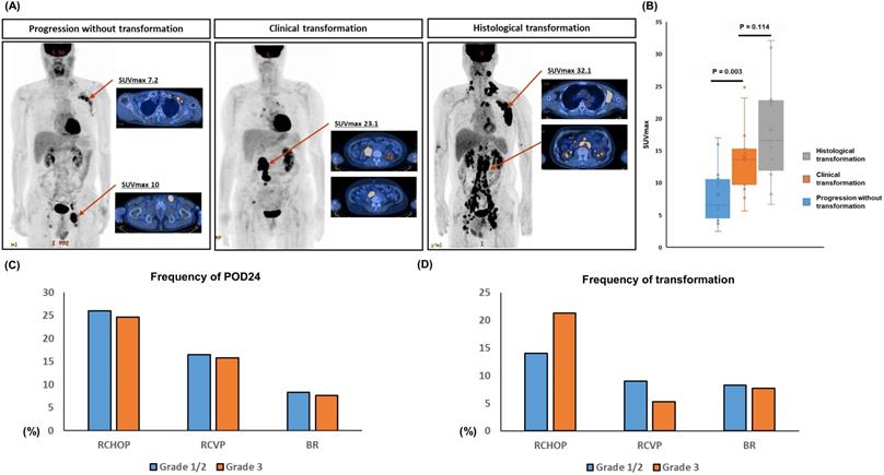 J Cancer Image