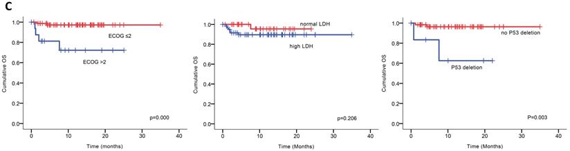 J Cancer Image