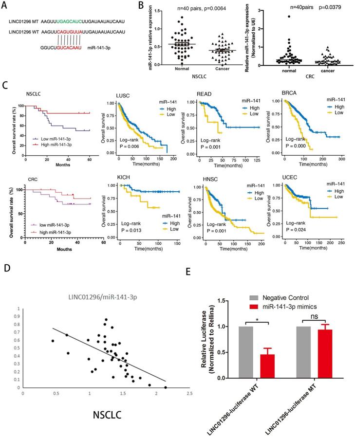 J Cancer Image