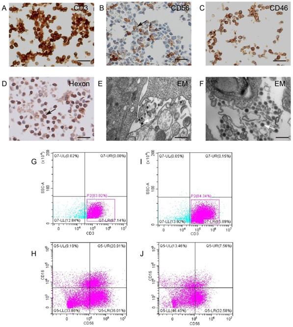 J Cancer Image