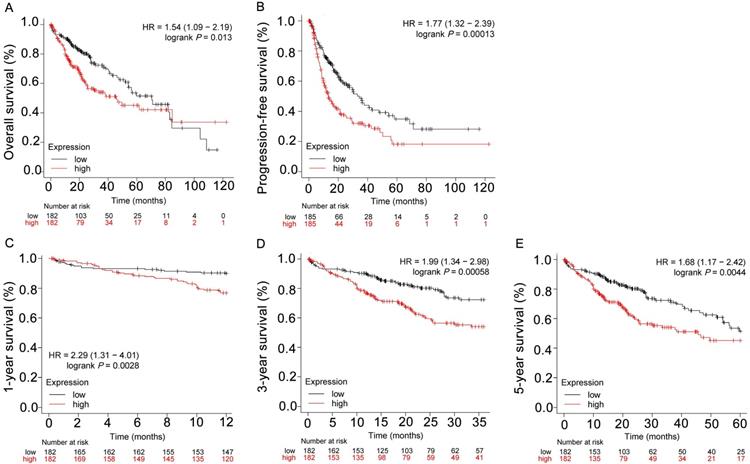 J Cancer Image