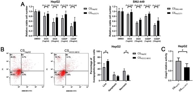 J Cancer Image