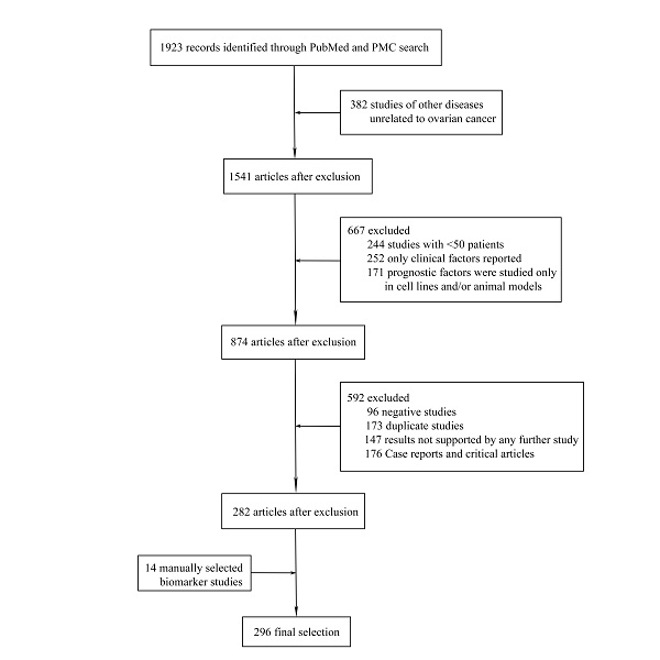 can hpv affect your bladder