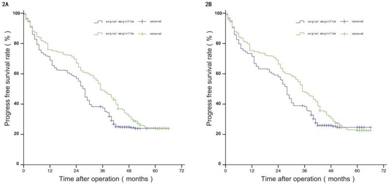 J Cancer Image