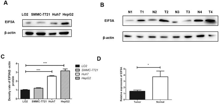 J Cancer Image