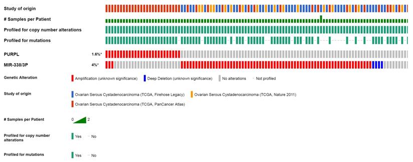 J Cancer Image