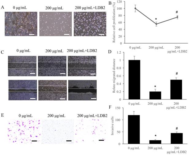 J Cancer Image
