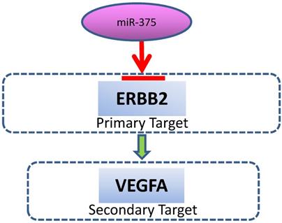 J Cancer Image