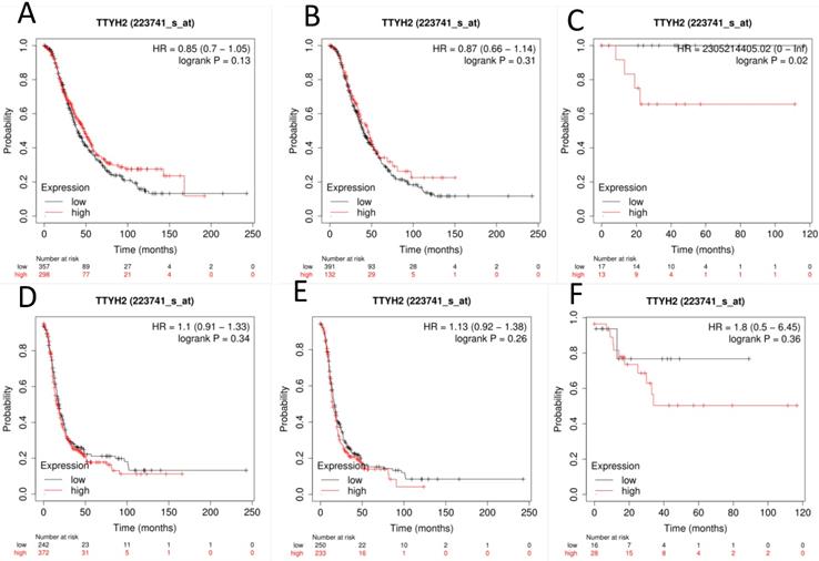 J Cancer Image