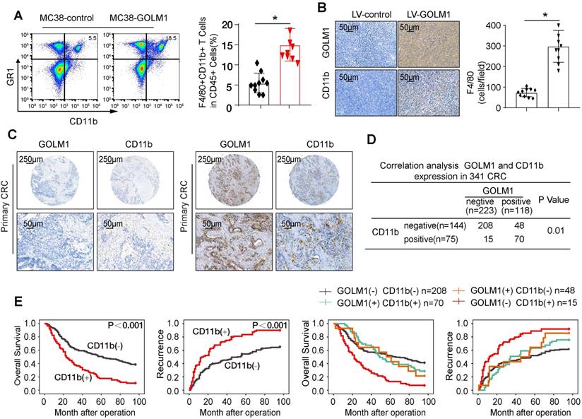 J Cancer Image