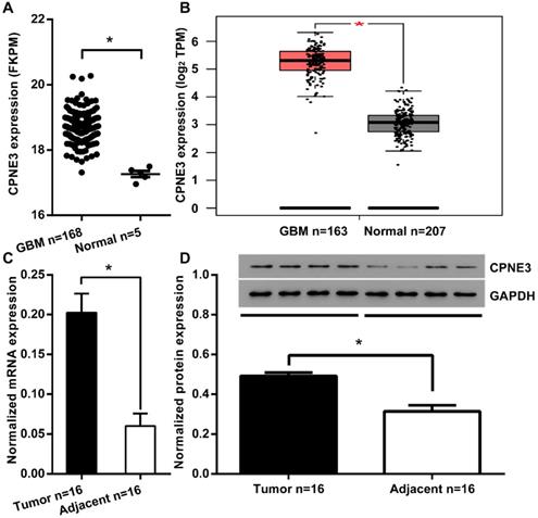 J Cancer Image