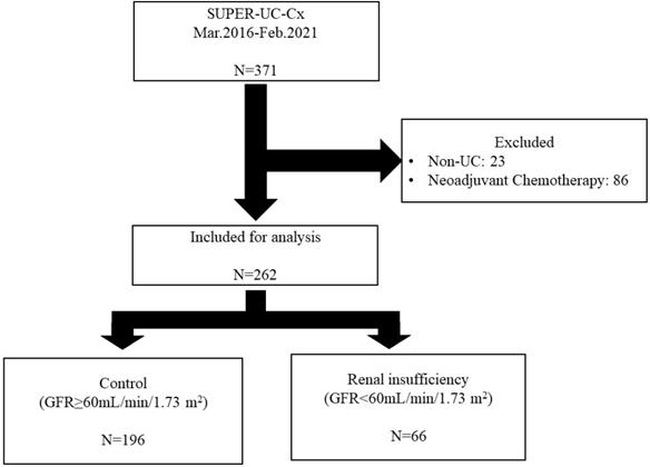 J Cancer Image