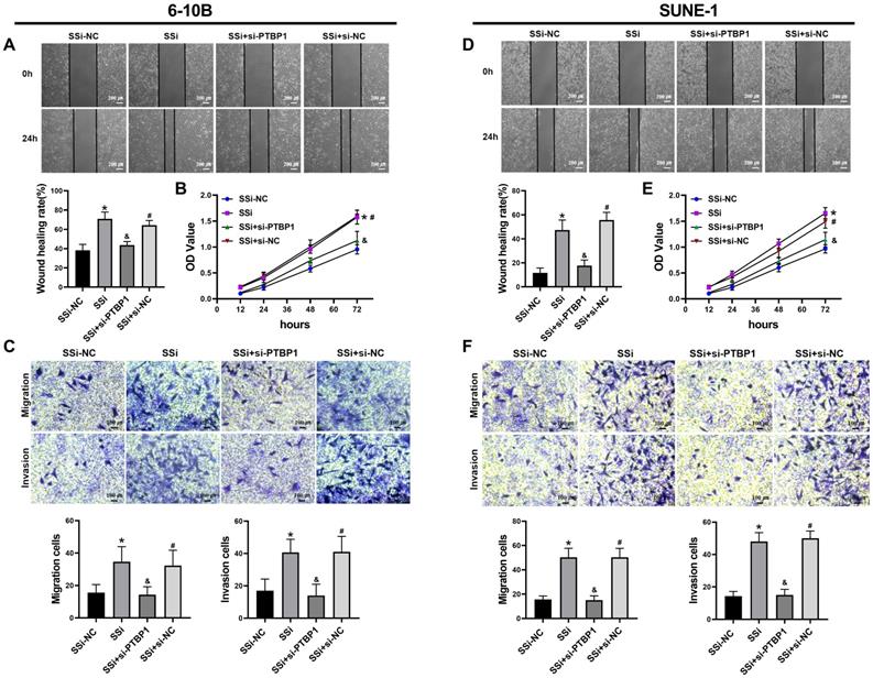 J Cancer Image