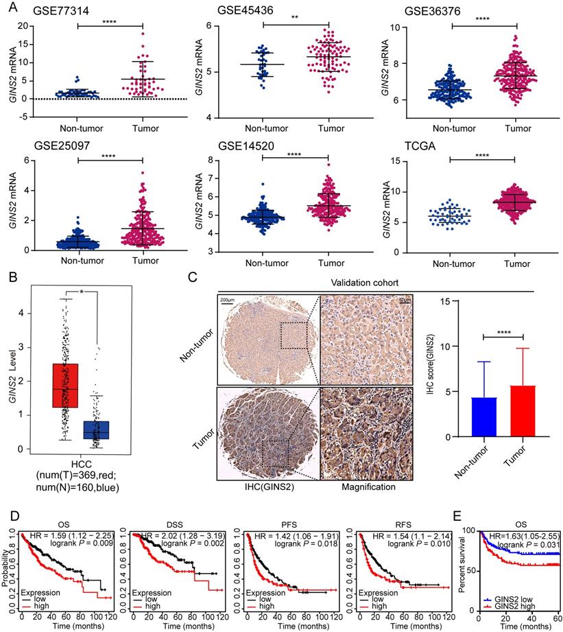 J Cancer Image