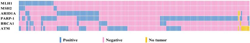 J Cancer Image