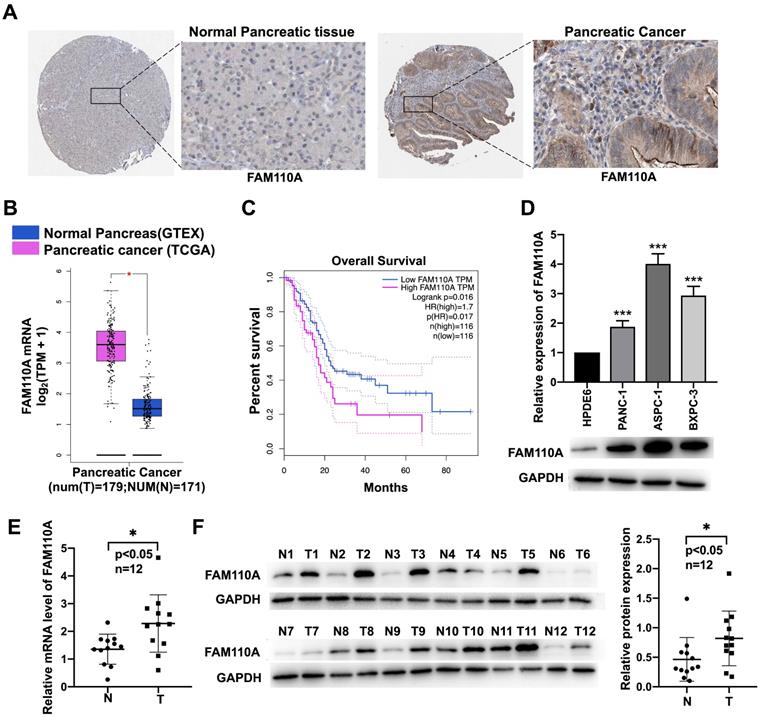 J Cancer Image
