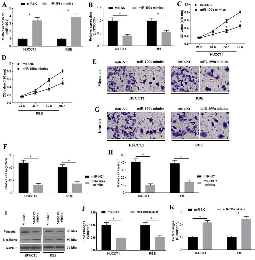 J Cancer Image