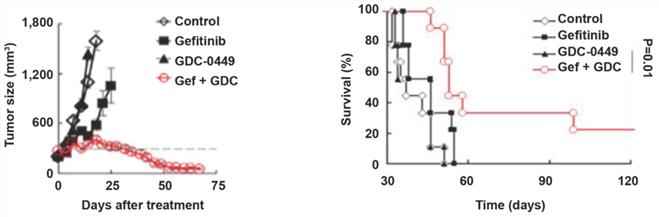 J Cancer Image