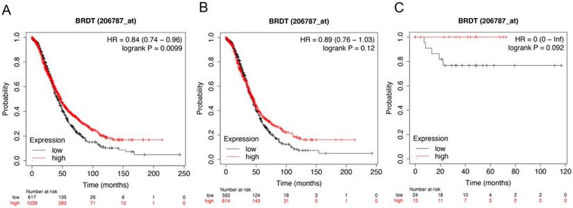 J Cancer Image