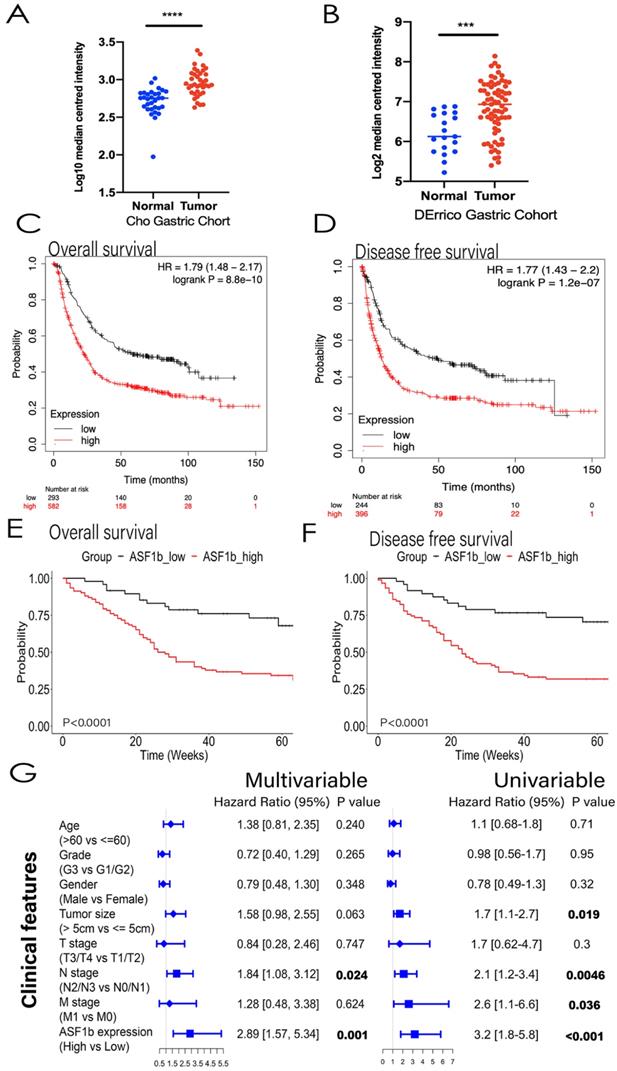 J Cancer Image