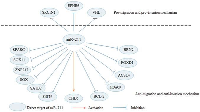 J Cancer Image