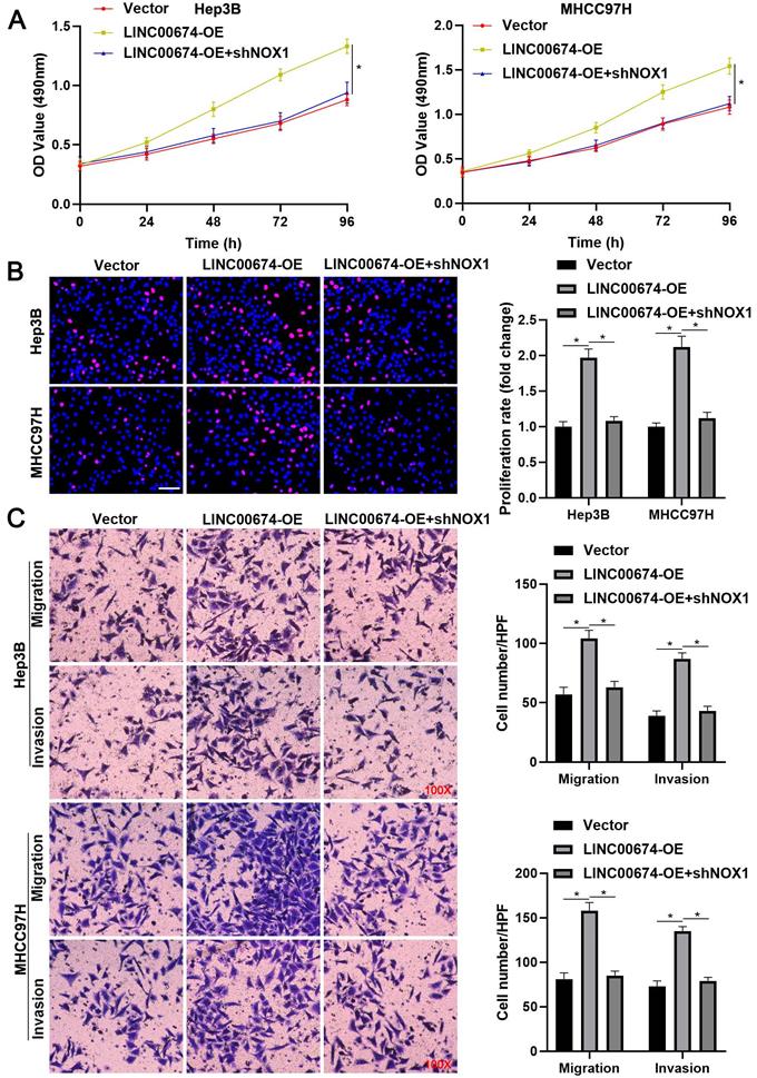 J Cancer Image