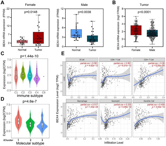 Epigenetic silencing of TCEAL7 (Bex4) in ovarian cancer