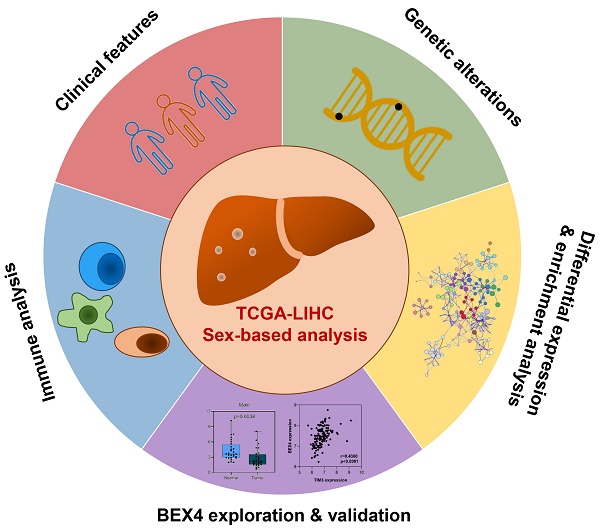 Epigenetic silencing of TCEAL7 (Bex4) in ovarian cancer