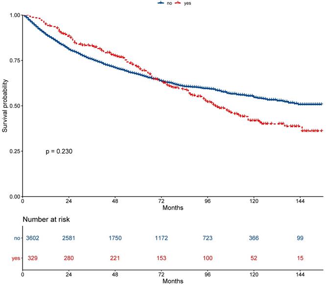 J Cancer Image