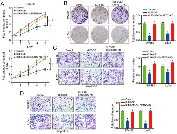 J Cancer Image