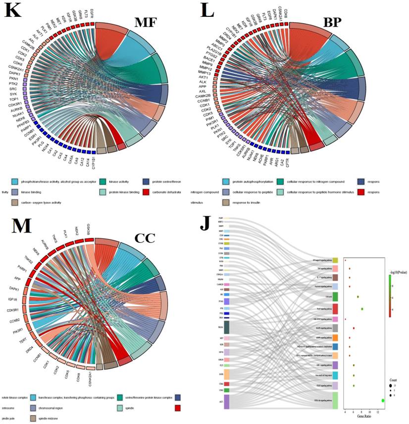 Advances in the Mechanism of Luteolin against Hepatocellular Carcinoma