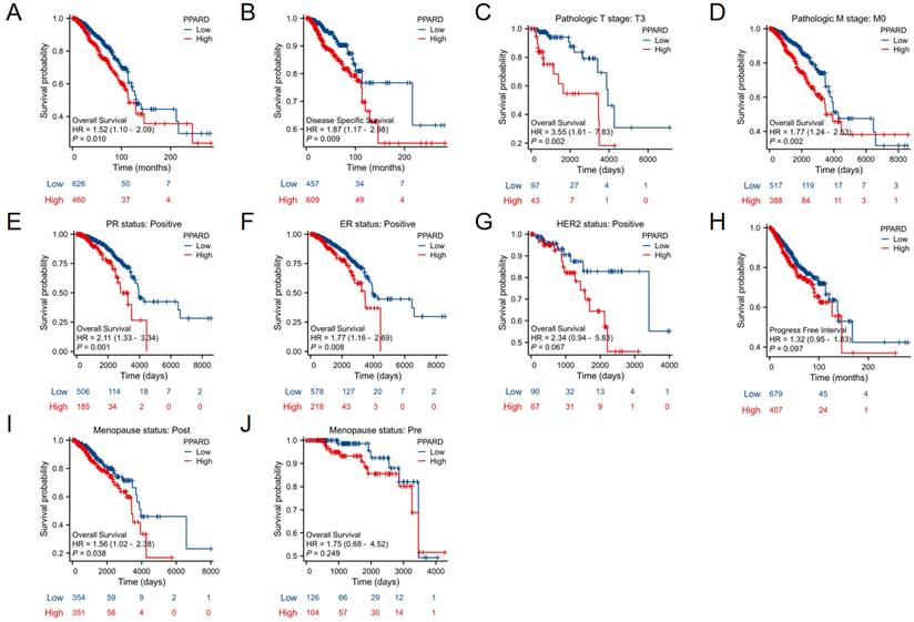 J Cancer Image