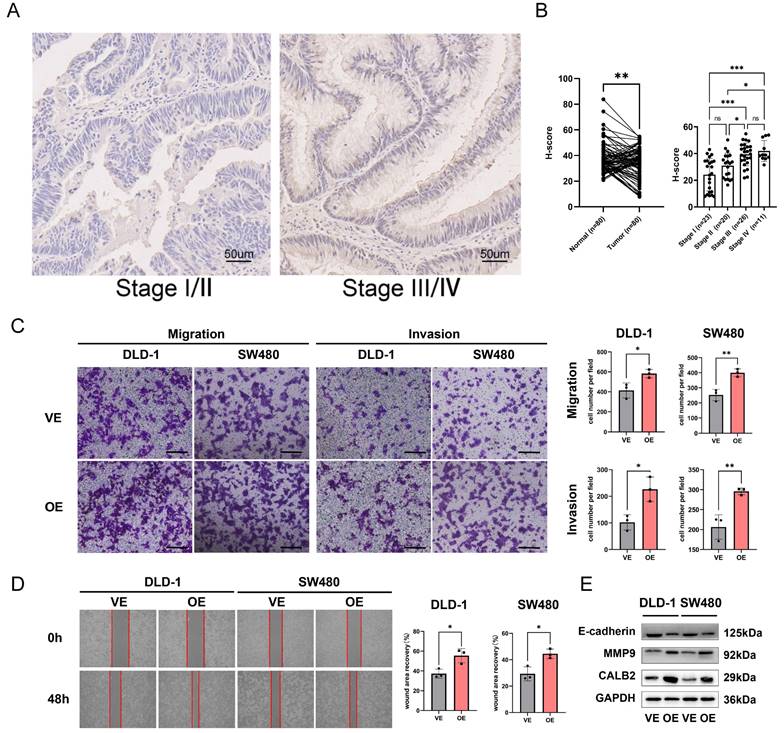 J Cancer Image