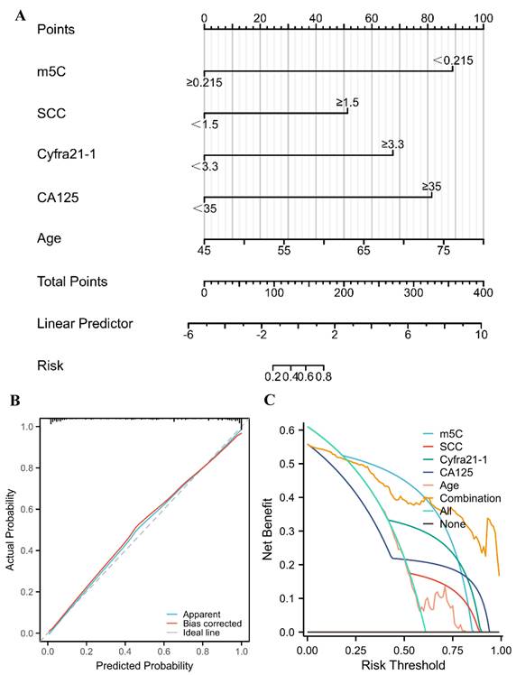 J Cancer Image