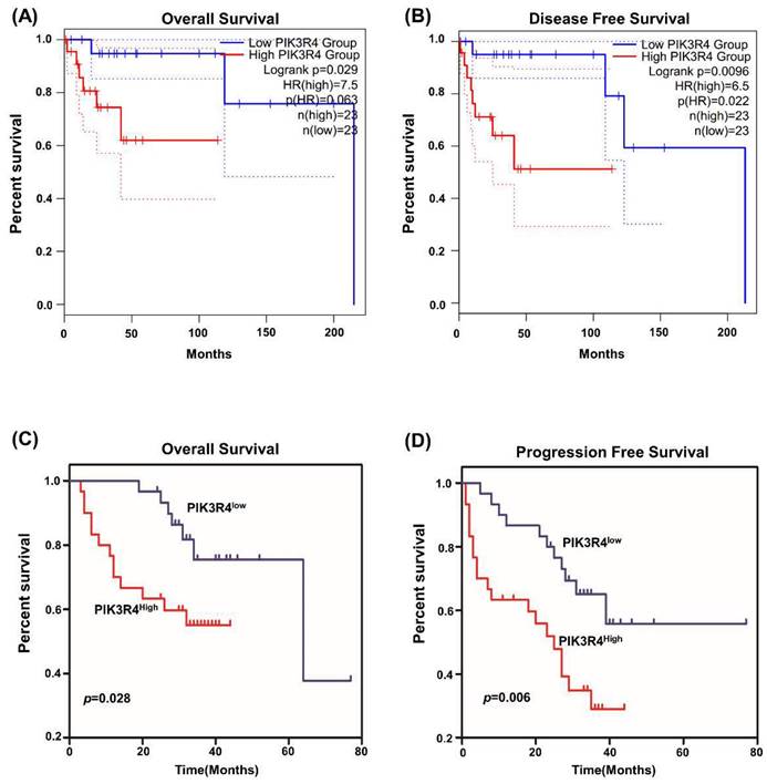 J Cancer Image