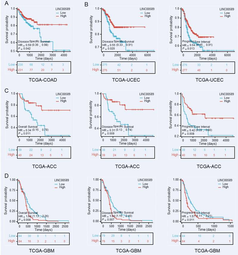 J Cancer Image