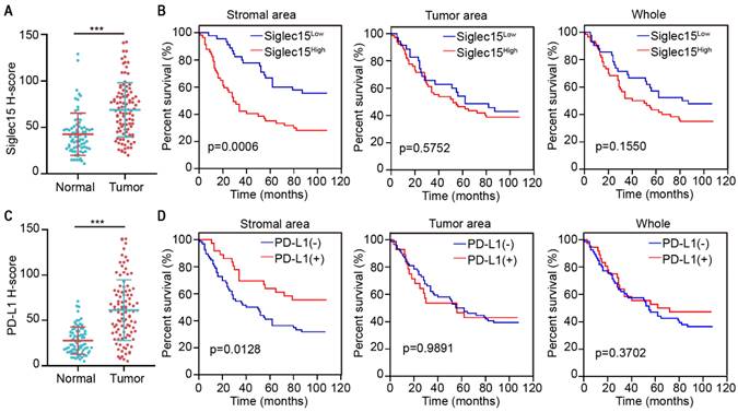 J Cancer Image